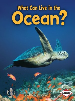 cover image of What Can Live in the Ocean?